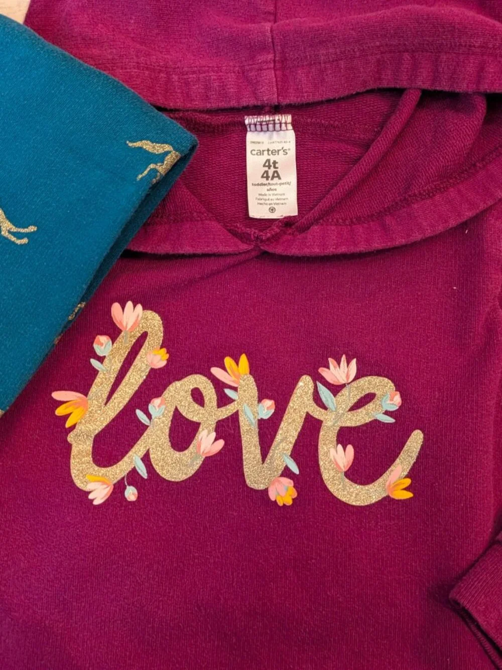 Carter Fall Hoodies & Fleece Pants Bundle Toddler Size 4T